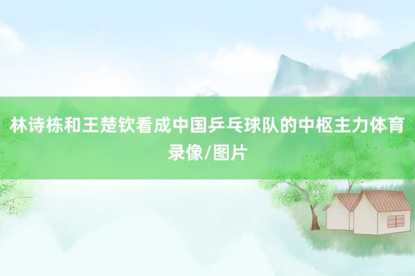 林诗栋和王楚钦看成中国乒乓球队的中枢主力体育录像/图片