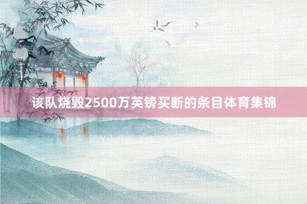 该队烧毁2500万英镑买断的条目体育集锦