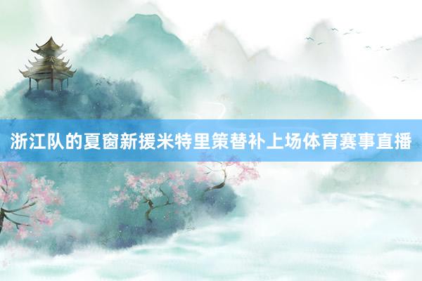 浙江队的夏窗新援米特里策替补上场体育赛事直播