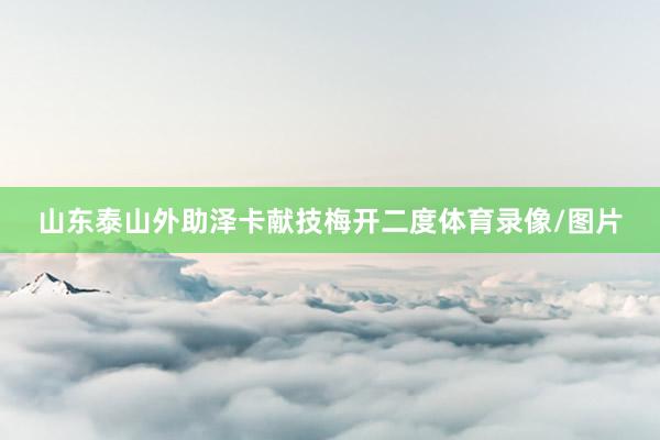 山东泰山外助泽卡献技梅开二度体育录像/图片