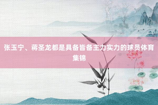 张玉宁、蒋圣龙都是具备皆备主力实力的球员体育集锦