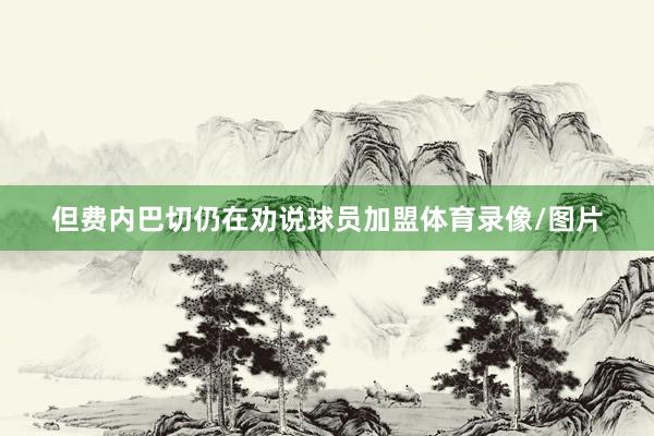 但费内巴切仍在劝说球员加盟体育录像/图片