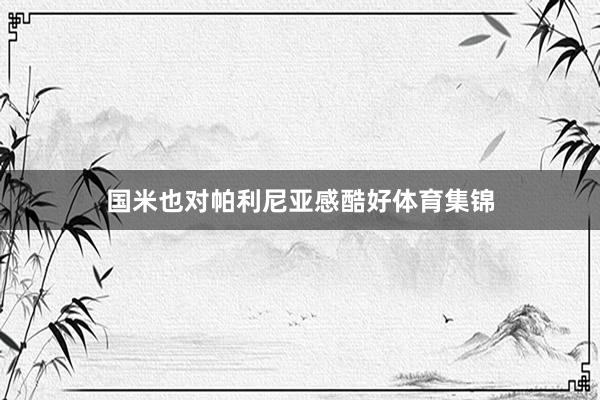 国米也对帕利尼亚感酷好体育集锦