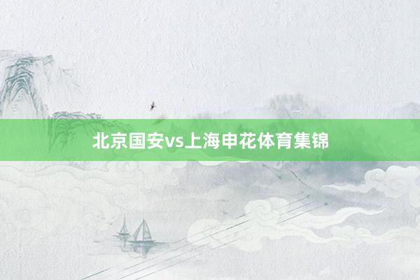 北京国安vs上海申花体育集锦