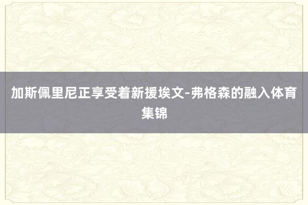加斯佩里尼正享受着新援埃文-弗格森的融入体育集锦