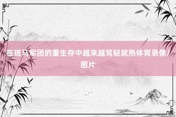 在斑马军团的重生存中越来越驾轻就熟体育录像/图片