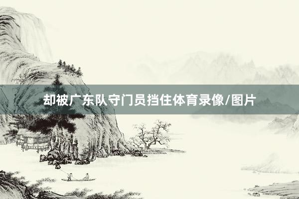 却被广东队守门员挡住体育录像/图片