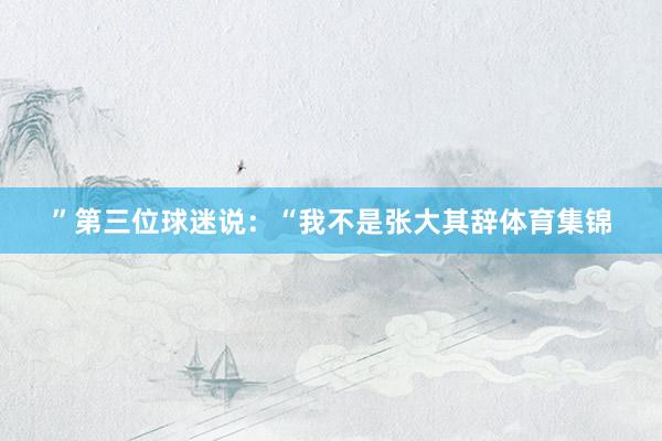 ”第三位球迷说：“我不是张大其辞体育集锦