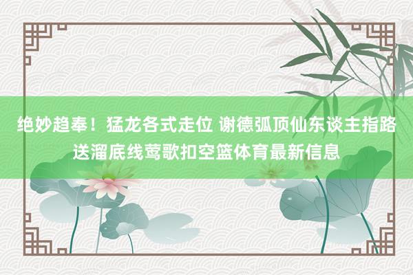 绝妙趋奉！猛龙各式走位 谢德弧顶仙东谈主指路送溜底线莺歌扣空