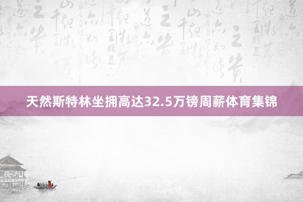 天然斯特林坐拥高达32.5万镑周薪体育集锦