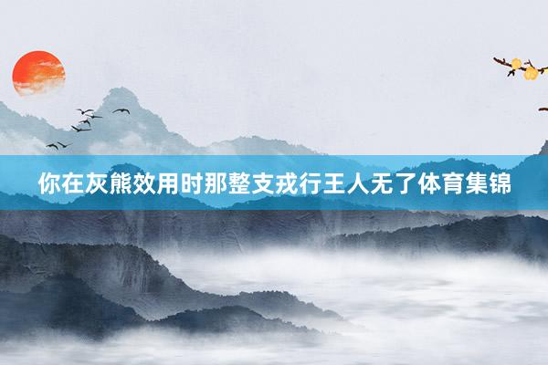 你在灰熊效用时那整支戎行王人无了体育集锦