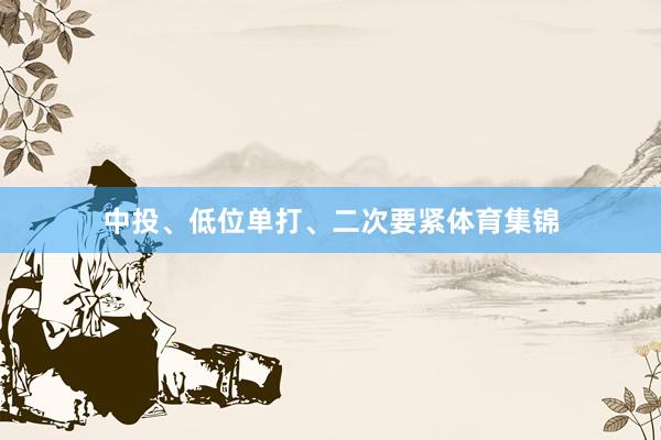 中投、低位单打、二次要紧体育集锦