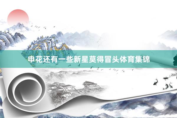 申花还有一些新星莫得冒头体育集锦