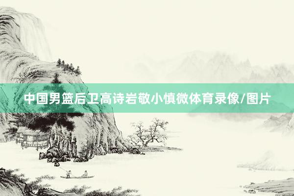 中国男篮后卫高诗岩敬小慎微体育录像/图片