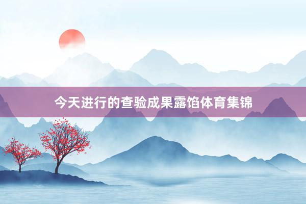 今天进行的查验成果露馅体育集锦