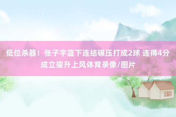 低位杀器！张子宇篮下连结碾压打成2球 连得4分成立擢升上风体