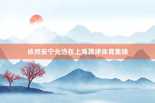 依然安宁允洽在上海踢球体育集锦