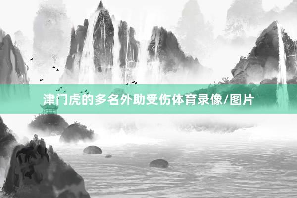 津门虎的多名外助受伤体育录像/图片