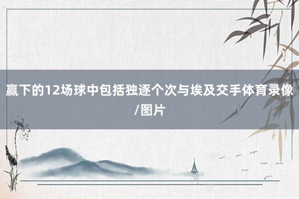 赢下的12场球中包括独逐个次与埃及交手体育录像/图片