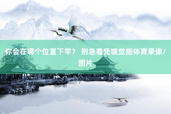 你会在哪个位置下竿? 别急着凭嗅觉指体育录像/图片