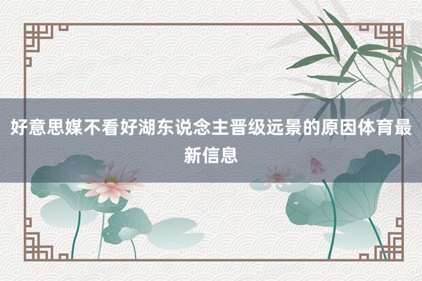 好意思媒不看好湖东说念主晋级远景的原因体育最新信息