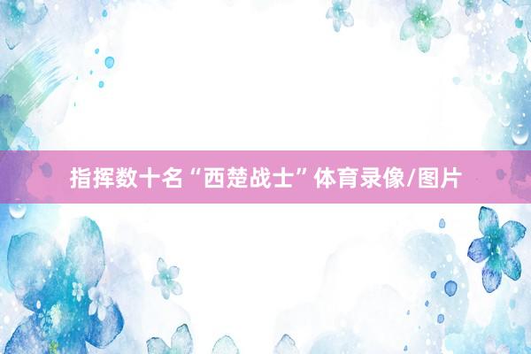 指挥数十名“西楚战士”体育录像/图片
