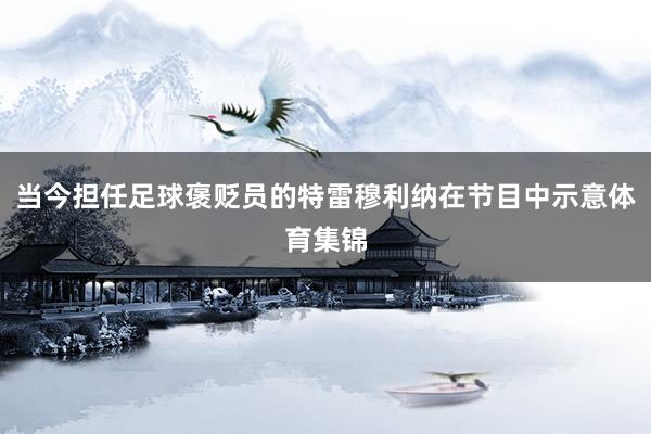 当今担任足球褒贬员的特雷穆利纳在节目中示意体育集锦