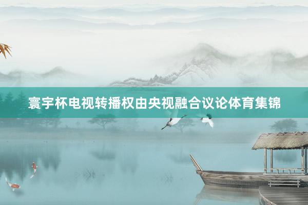 寰宇杯电视转播权由央视融合议论体育集锦