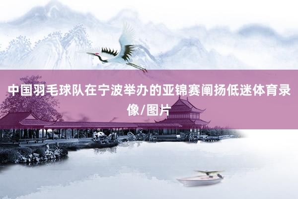 中国羽毛球队在宁波举办的亚锦赛阐扬低迷体育录像/图片
