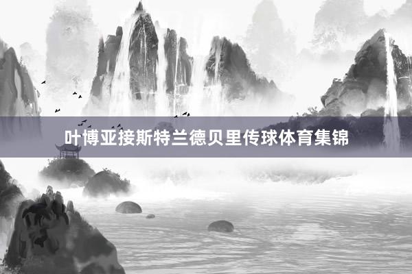叶博亚接斯特兰德贝里传球体育集锦
