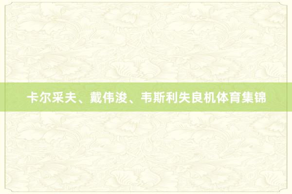 卡尔采夫、戴伟浚、韦斯利失良机体育集锦