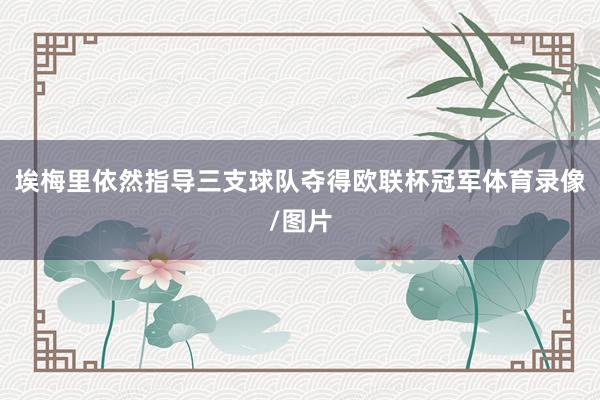 埃梅里依然指导三支球队夺得欧联杯冠军体育录像/图片