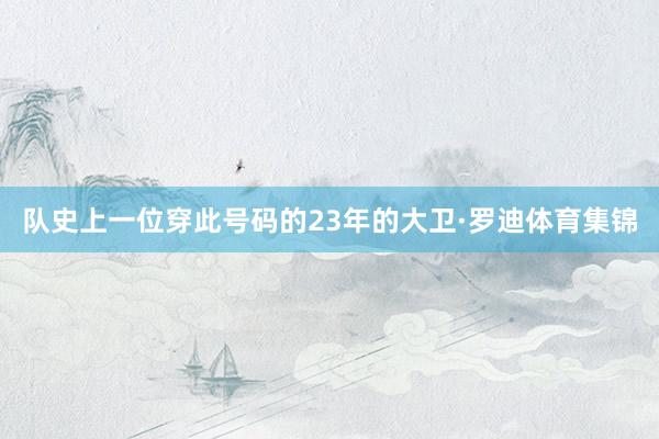 队史上一位穿此号码的23年的大卫·罗迪体育集锦