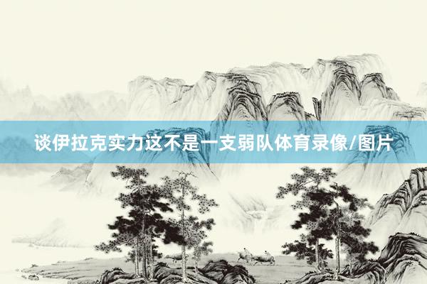 谈伊拉克实力这不是一支弱队体育录像/图片